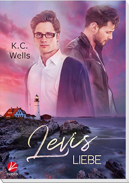 Cover des Romans Levis Liebe