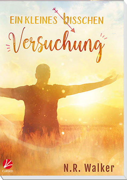 Cover fes Romans Ein kelienes bisschen Versuchung